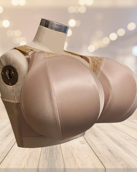 Orchid All Bands Cups ZA to ZZ