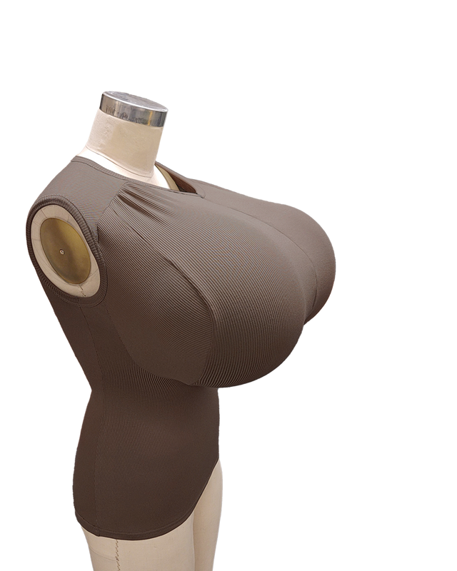 Dahlia Bra Sized Sleeveless Top K-Q